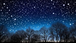 24 Stars Dream