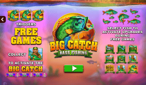 Big Catch Bass Fishing