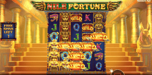 Nile Fortune